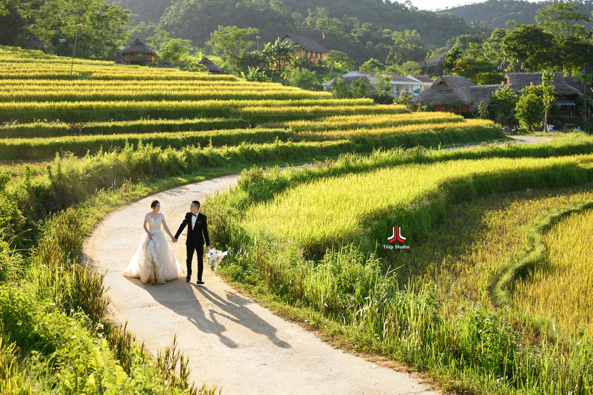 TiUp Studio Wedding