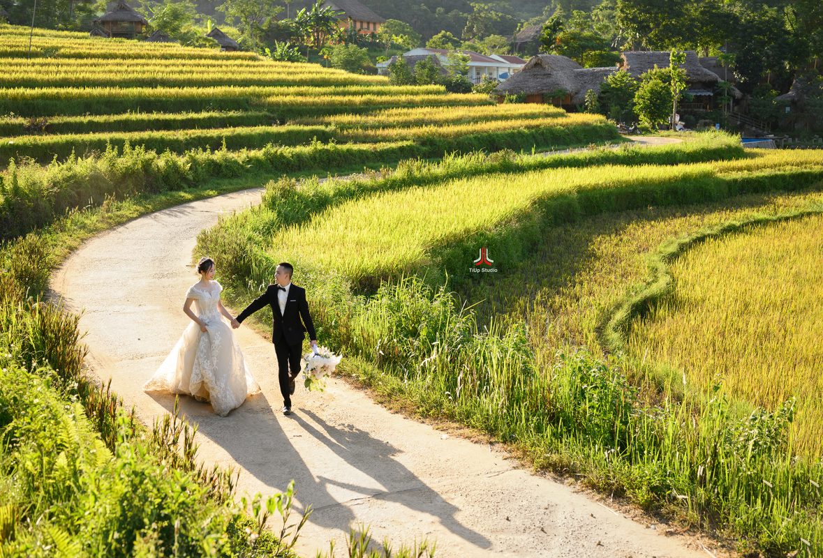TiUp Studio Wedding