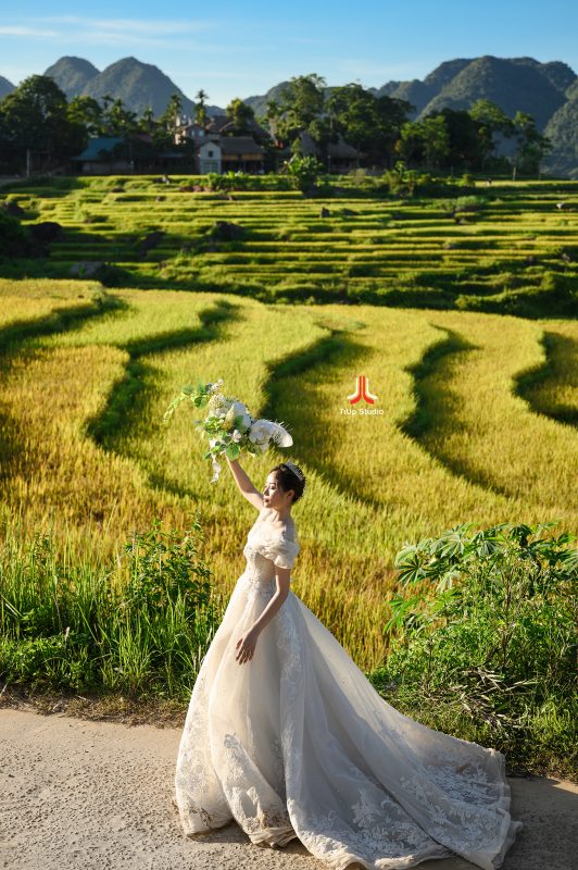 TiUp Studio Wedding