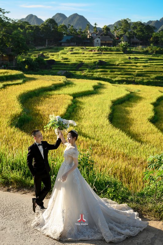 TiUp Studio Wedding